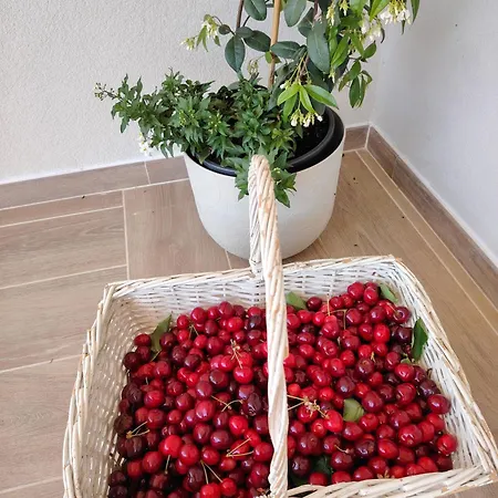 Bed & Breakfast Aurora Gubbio