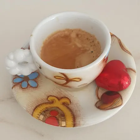 Aurora 4* غوبيو