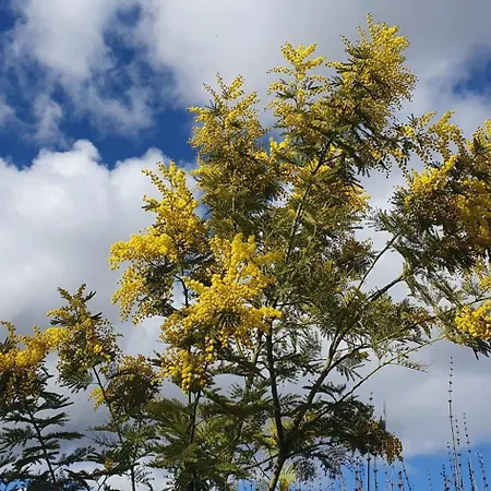 Bed & Breakfast Aurora