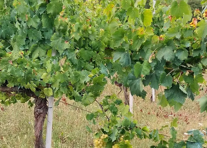 Aurora Bed & Breakfast 4*