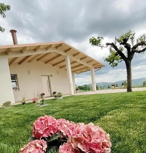 Bed & Breakfast Aurora 4*