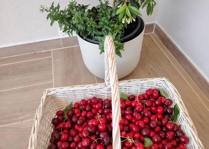 Bed & Breakfast Aurora Gubbio