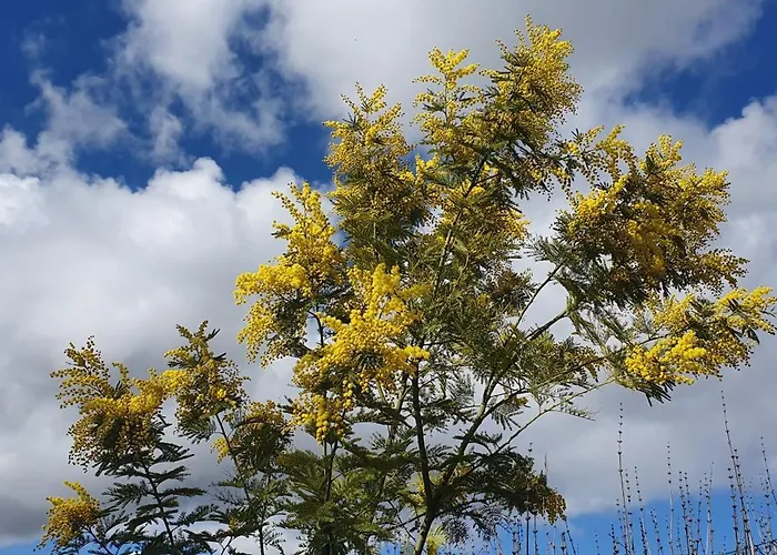 Bed & Breakfast Aurora